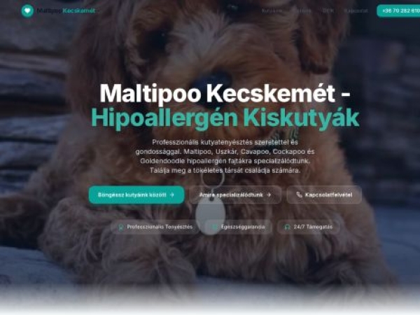 maltipookecskemet.com